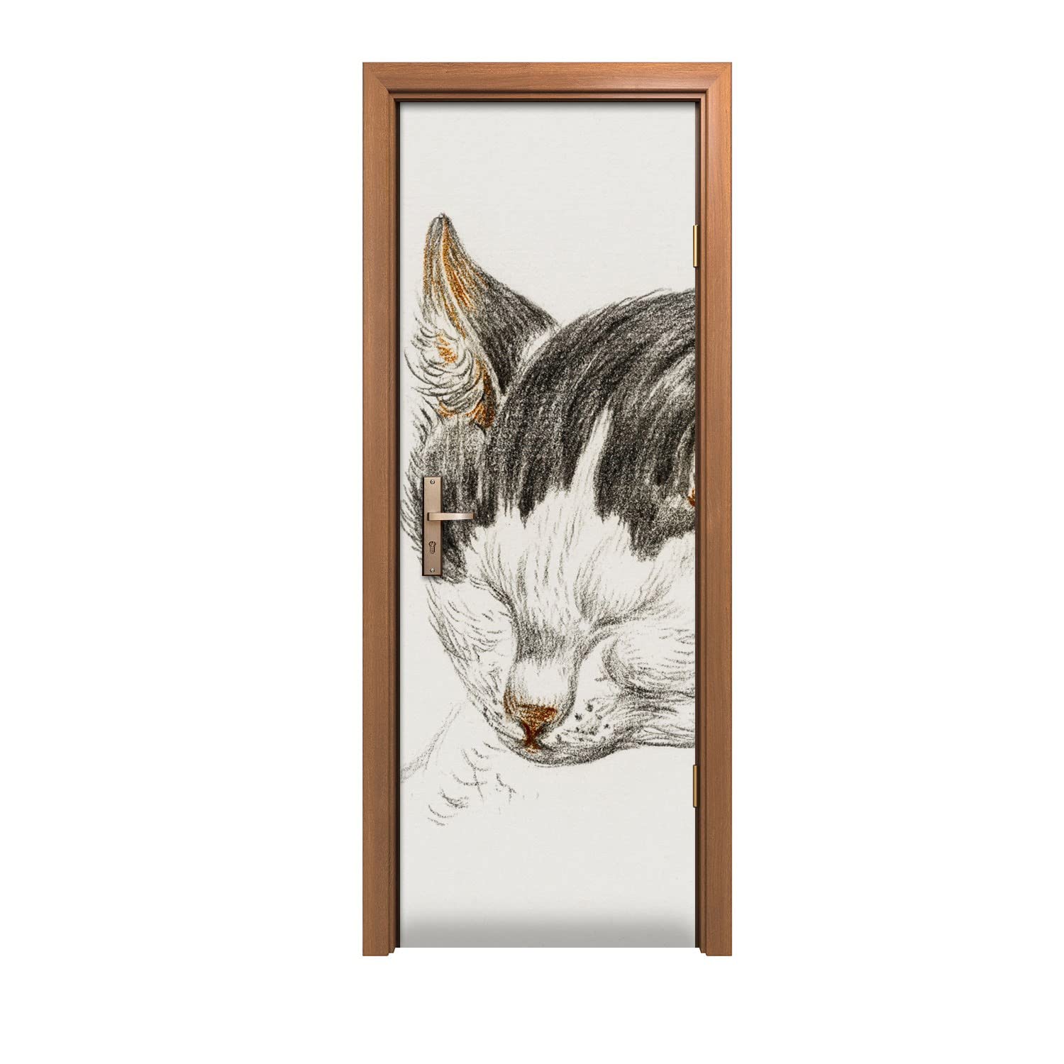 Autocollant de porte chat animal 70x200cm pour decoration murale