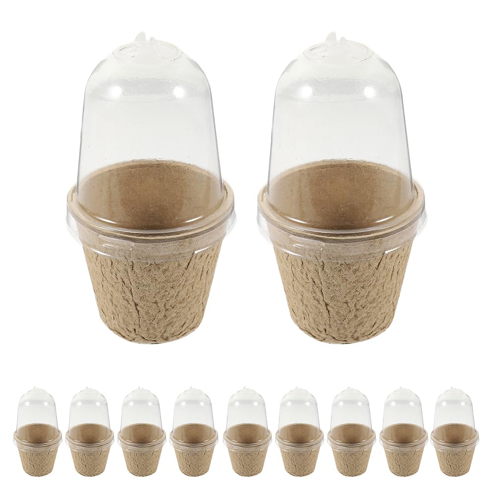 TOYANDONA 40 Stück Biologisch Abbaubare Rundpflanztöpfe aus Papierpulp Kleine Anzuchttöpfe für Samen und Jungpflanzen für Balkon Garten Schulprojekte und