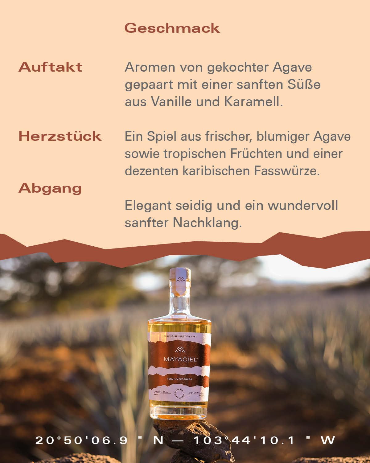 MAYACIEL Tequila Reposado 0,5 l – 100% Agave, gereift in karibischen Rum-Fässern, IWSC Gold