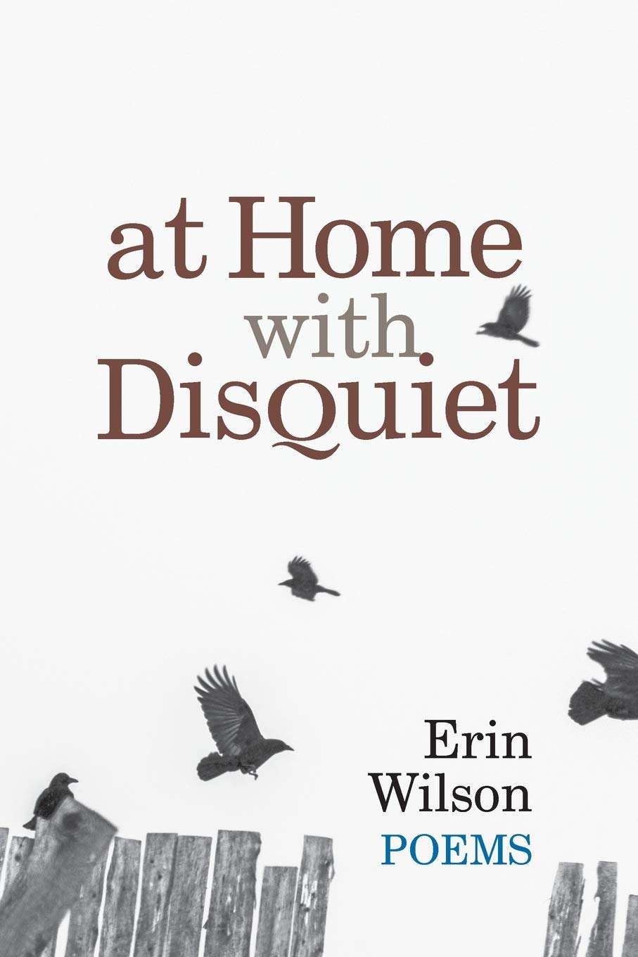 At Home with Disquiet: Poems