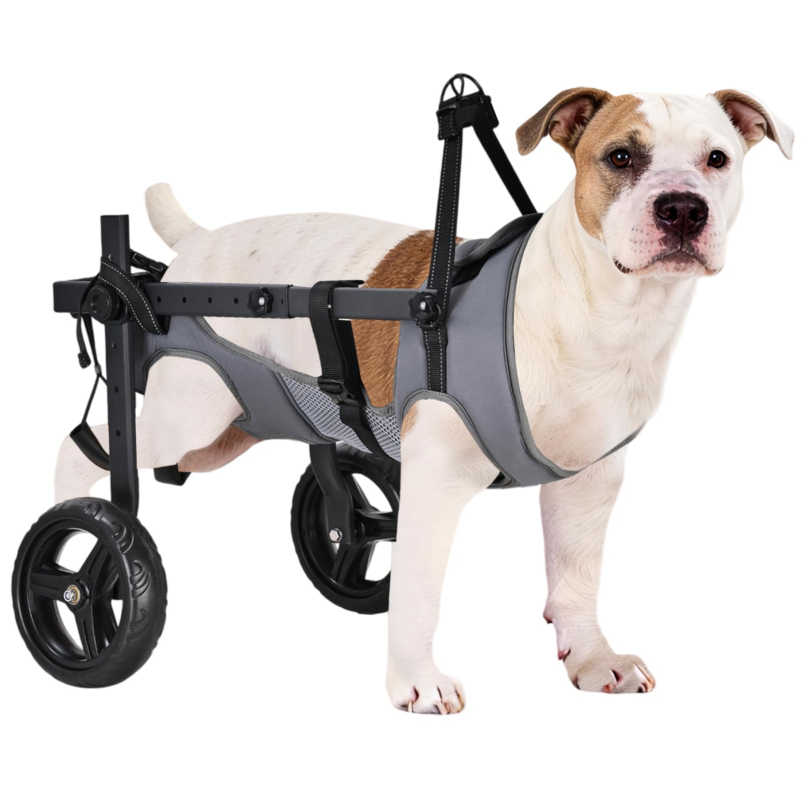 inanil Dog Wheelchair
