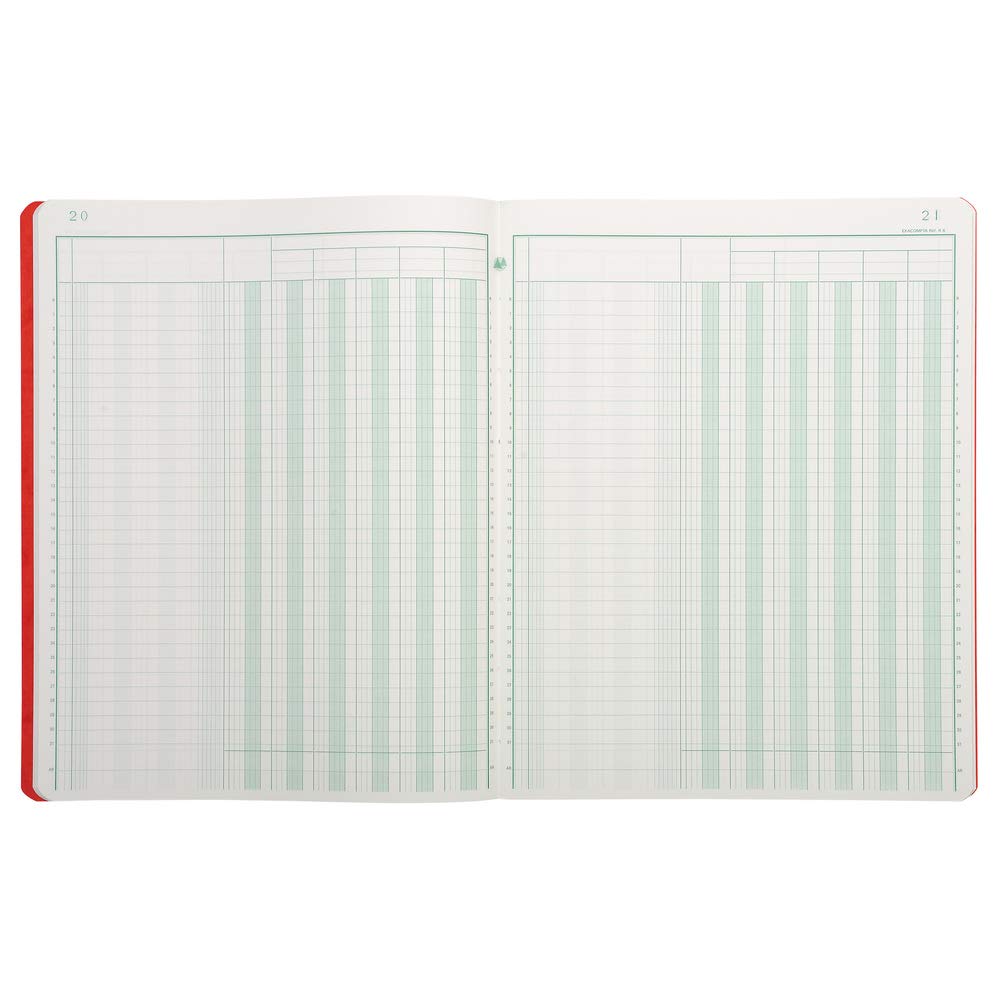Exacompta 4060E - Registro contabile alla francese, 6 colonne, 80 pagine, 32/25, Colori assortiti