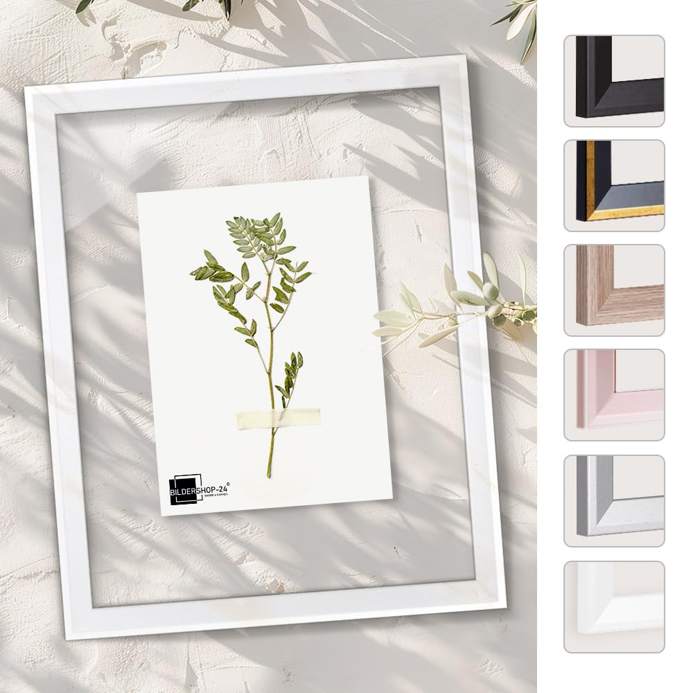 Bildershop-24 Telaio in vetro doppio con doppi vetri, Prio in Bianco (opaco) 40x60cm con vetro acrilico, cornice per quadri con doppi vetri