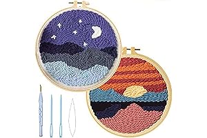 FISHEVO Punch Needle Embroidery Starter Kit: Craft Creation Made Simple for Beginners