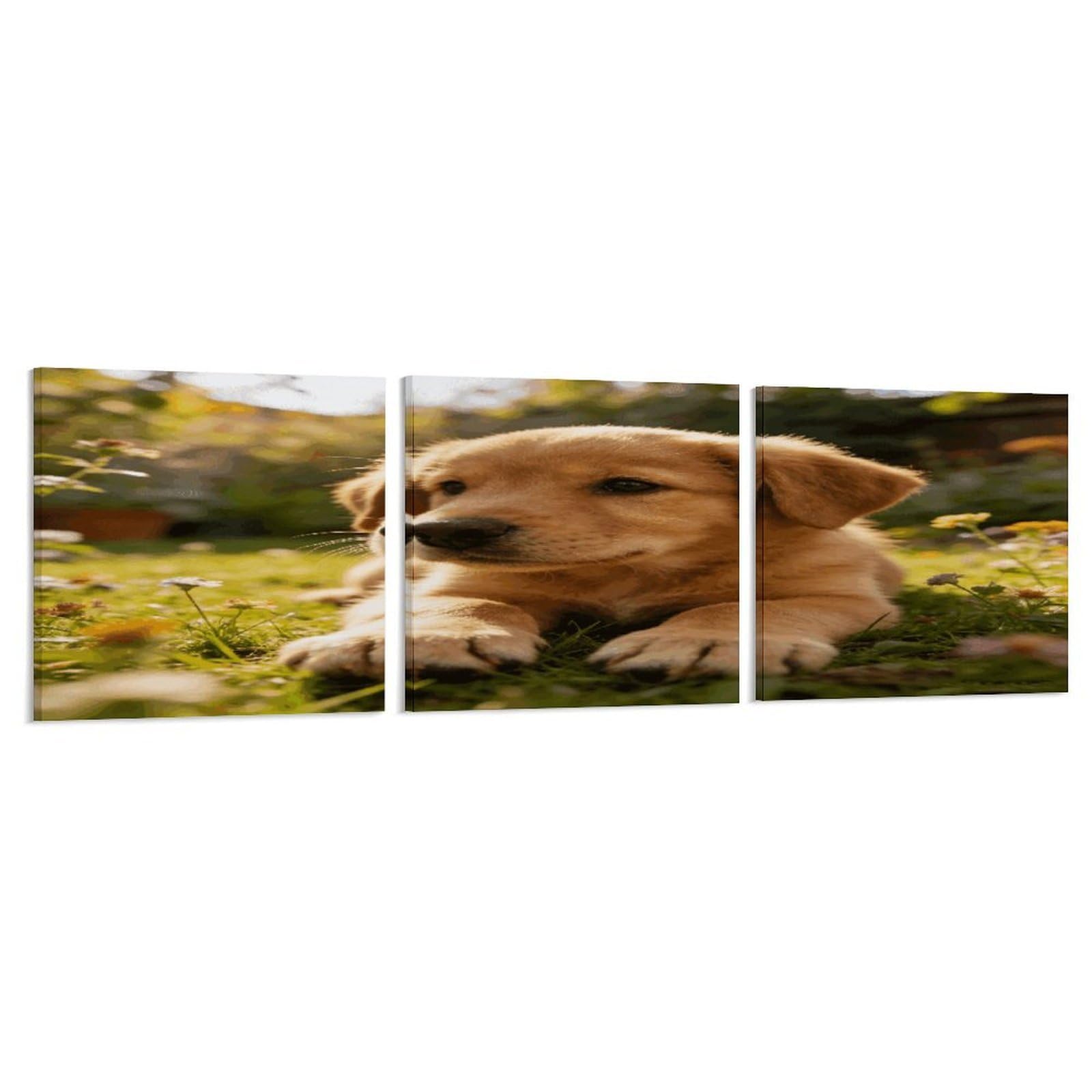 Khauerbc Style Set Of 3 Home Garden Puppy Paws Wall Art，Paintings Artwork For Living Room, Hallway, Bedroom, Office Wall Decor For Living Room, Hallway, Bedroom, Office Paintings Artwork 8X8 Inch