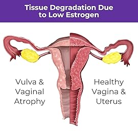 Menopause Rebalancing Bundle: Silky Peach Estriol Cream & Vibrant Third Progesterone Cream for Women. Bioidentical Estrogen & Progesterone for Hot Flashes, Vaginal Dryness, Sleep Issues & Brain Fog