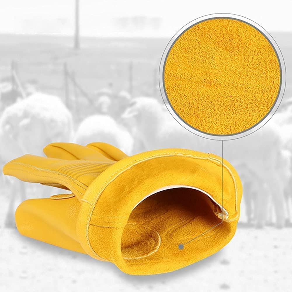 Habiba Mitones Guantes Retro de Piel de Oveja, Guantes de Mujer para Hombre para Ciclismo, conducción y equitación, Guantes de Dedo Completo para Motocicleta Ross-Country, Amarillo Útil