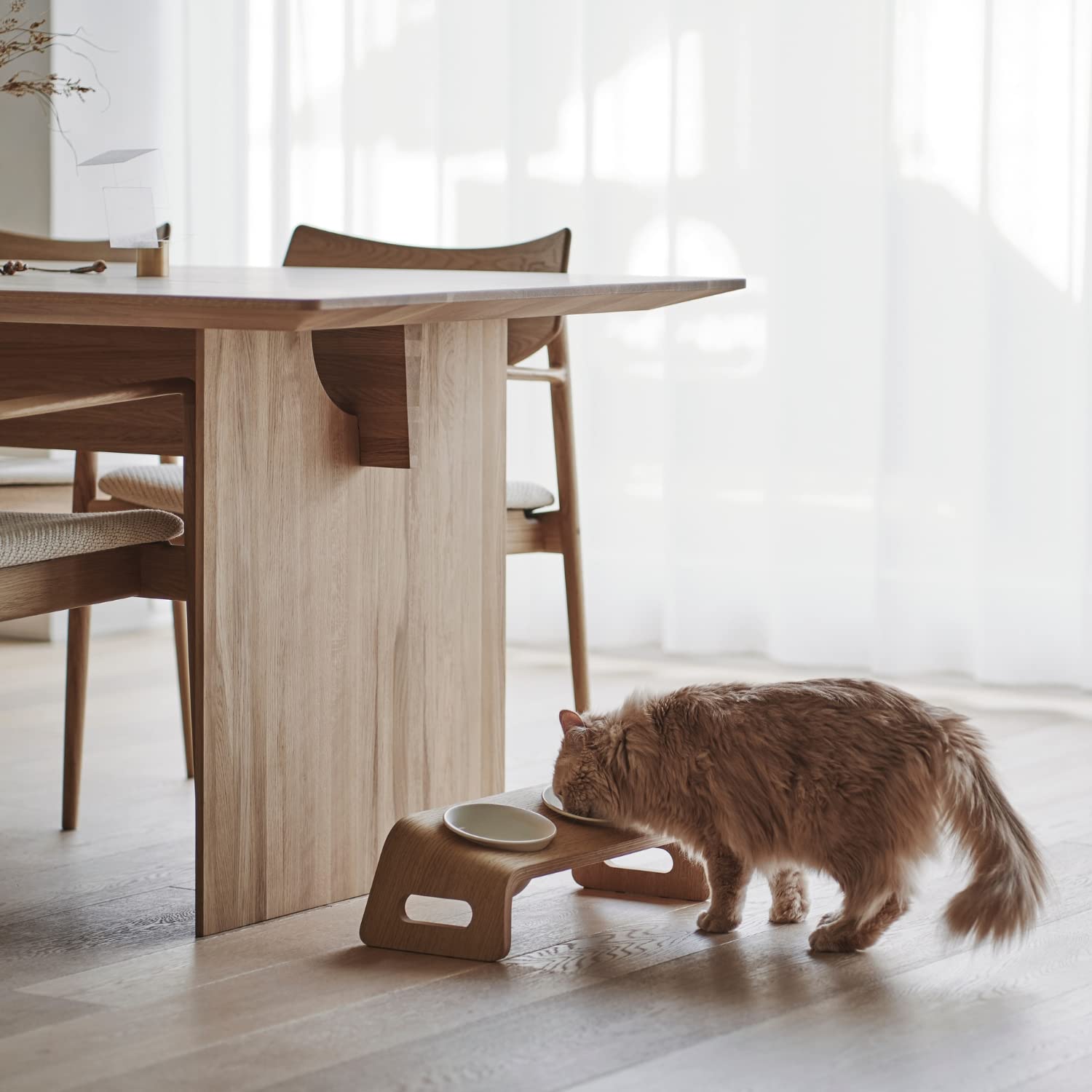 Amazon | [カリモク家具] KARIMOKU CAT TABLE 猫 食器 家具 磁器 15度 