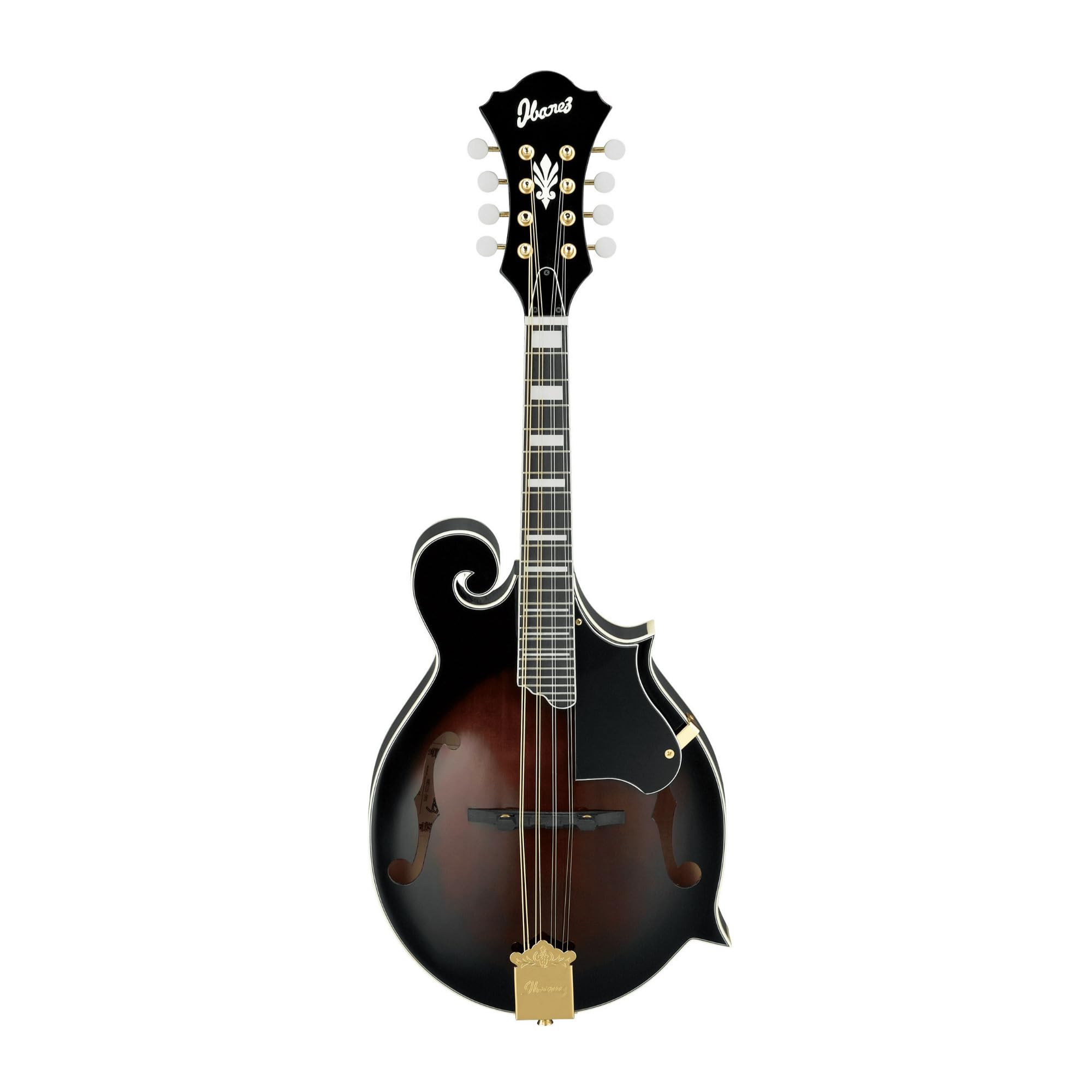 Ibanez M522 F-Style, Maple Neck, 8 String and 24 Frets Right Handed Maple Neck and Solid Sitka Spruce Top Mandolin Acoustic Guitar (Dark Violin)