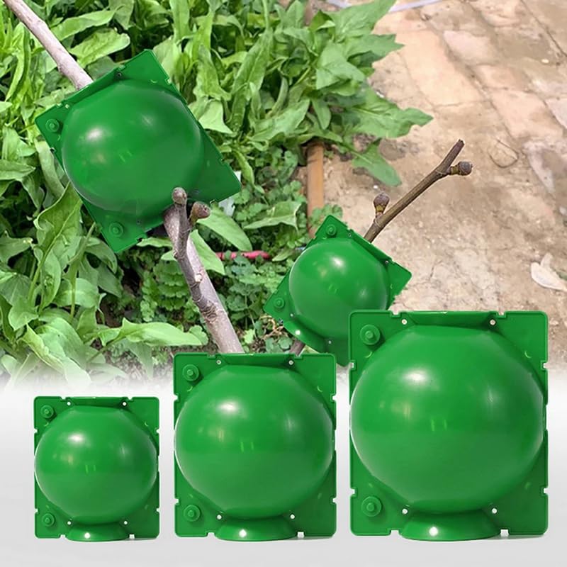 10 Pièces Boîte d'Enracinement de Plante Balle de Propagation, Boîte de