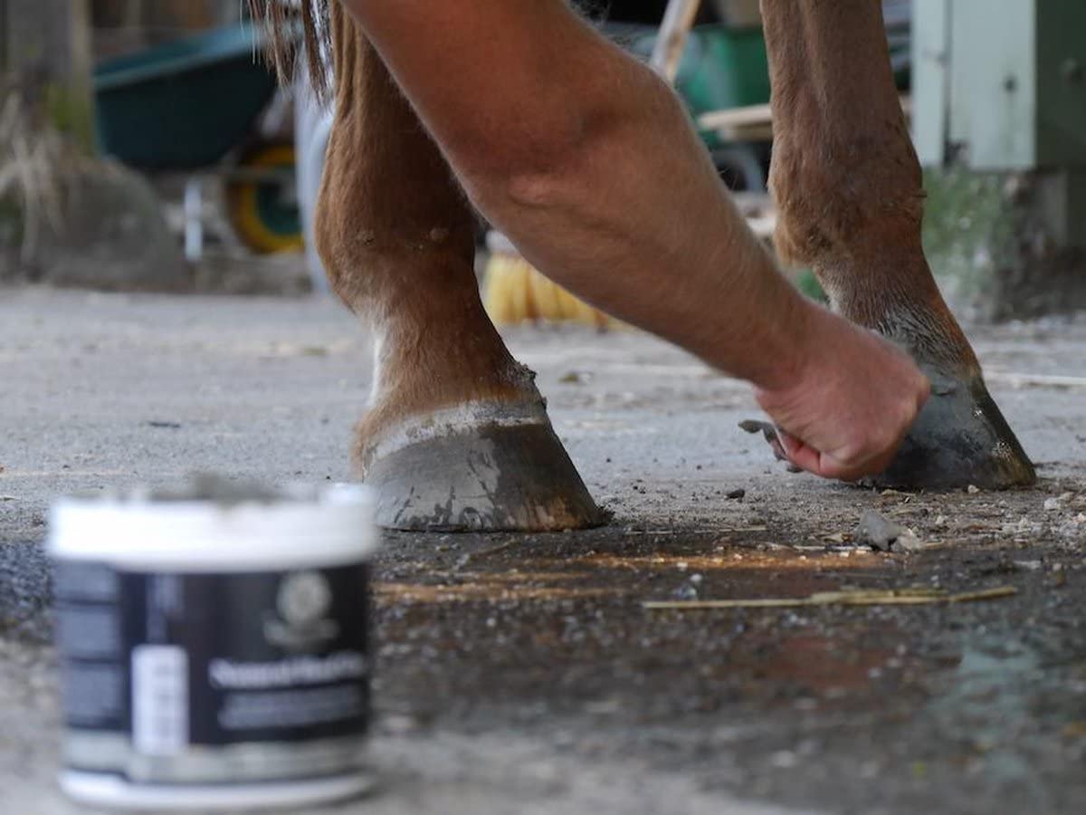Unique-horn Natural Hoof Clay 600g | Der ultimative Schutz für die Hufe Ihres Pferdes | schützt vor Urin und Mist