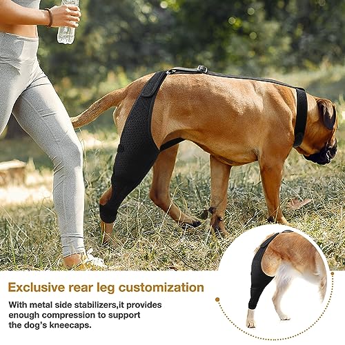 Image of Dog Knee Brace - Knee Cap Dislocation for ACL, CCL, Cruciate Ligament Injury, Joint Pain and Muscle Sore, Adjustable Dog Rear Legs Bracer with Metal Side Stabilizers (Black, Medium-Right)