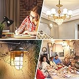 G9 LED Light 3W Warm White 2700K, 420LM Equivalent to 28W-40W Halogen for Desk Lamp, Non-Flicker, AC 220-240V, 360° Beam Angle, 5 Pack - Image 3