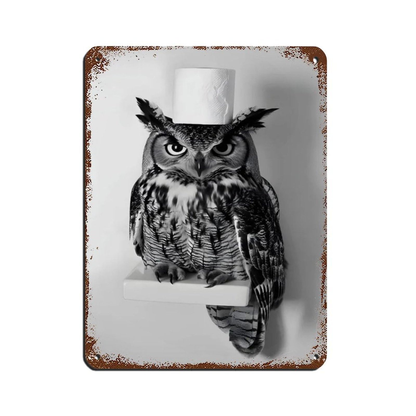 Owl with A Toilet Paper Roll on Head Retro Poster Metal Tin Sign Chic Art Retro Iron Painting Bar People Cave Cafe Family Garage Poster Wall Decoration 12x16inch(30x40cm)