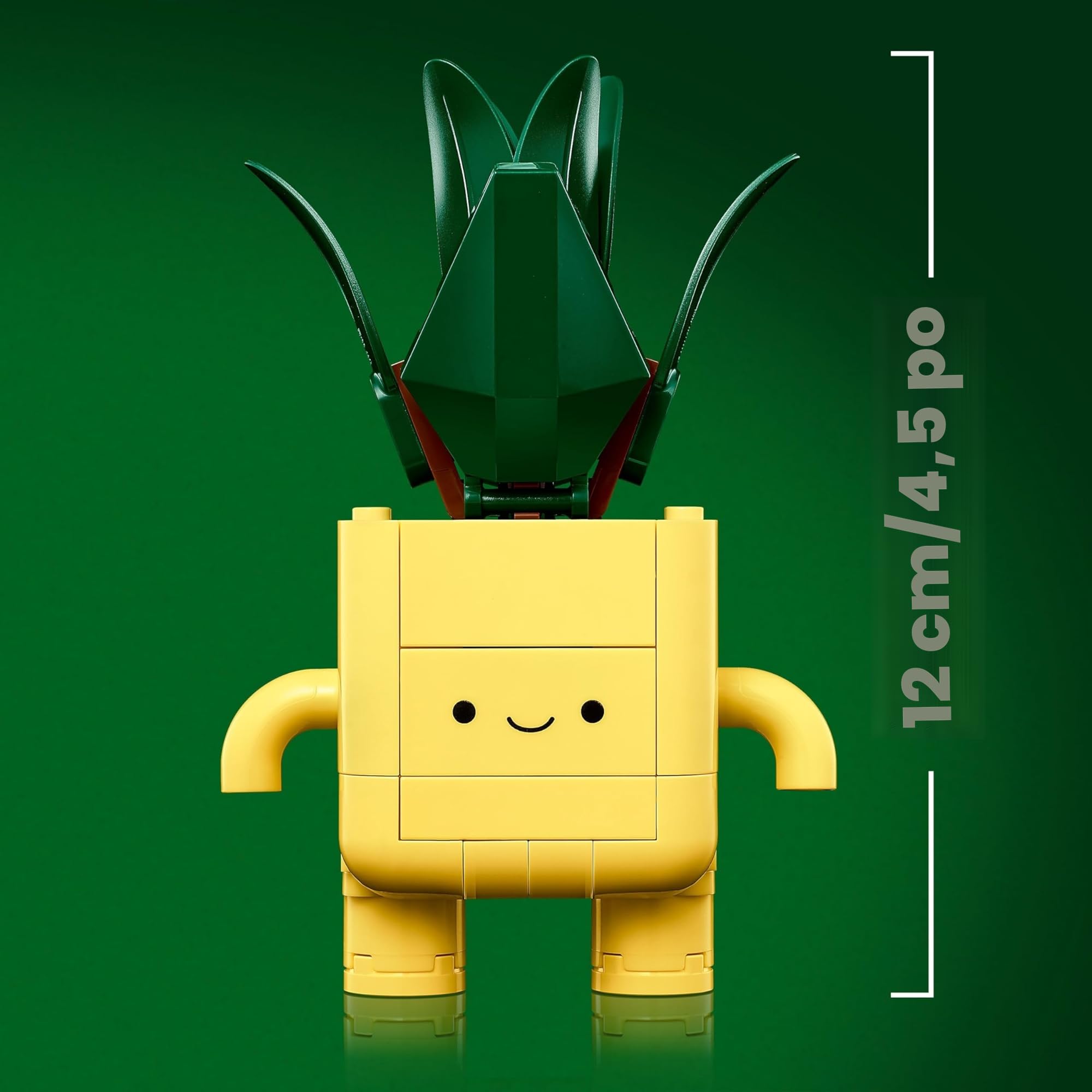 LEGO Botanicals Petites Plantes Souriantes - Jouet - Loisirs Créatifs - 2 Plantes Artificielles, 2 Pots de Fleurs Colorés & Visages Interchangeables - Cadeau Nature pour Fille dès 9 Ans & Ado 10349
