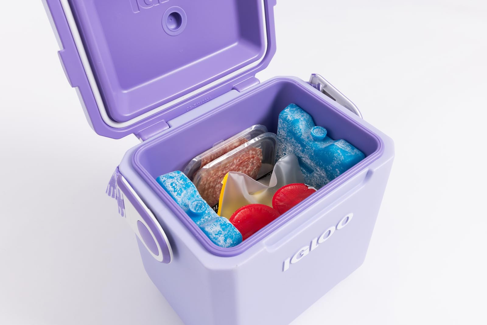 Igloo Large Maxcold 2 Pack Ice Block, Reusable Ice Packs for Coolers, Freezer Pack, Cold Packs for Coolers, Long Lasting Ice Blocks