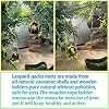 kathson Leopard Gecko Coconut Husk Hut Reptile Habitat Accessories Hideout Hole Climbing Ladder Bendable Hanging Plants Sleeping Hiding Breeding Apply to Amphibians and Small Animals