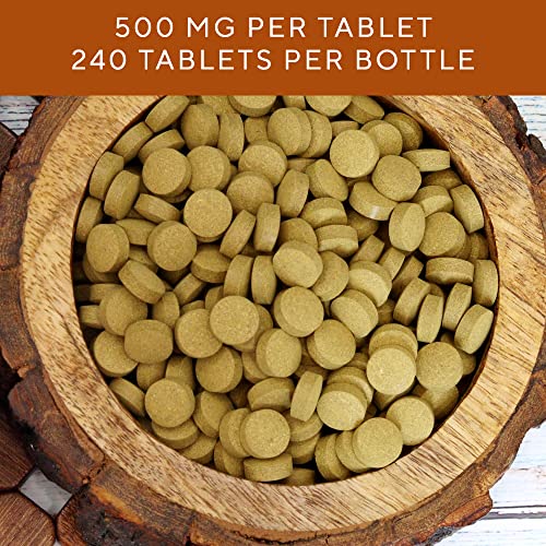 Grenera Senna Tablets 240 Nos, Made With Senna Leaf Powder, Vegan, Kosher Certified, Laxative #TOP3