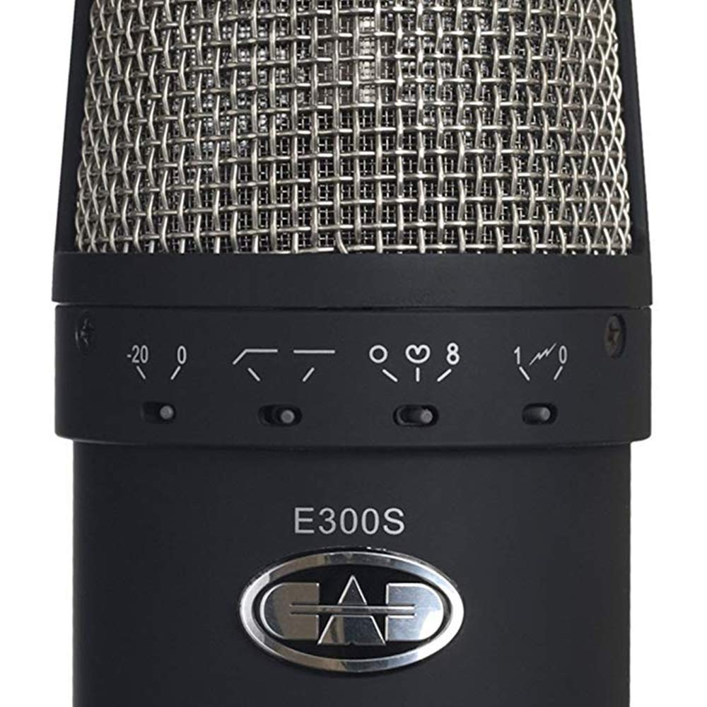 CAD e300-2 超大型ダイアグラムコンデンサーマイク