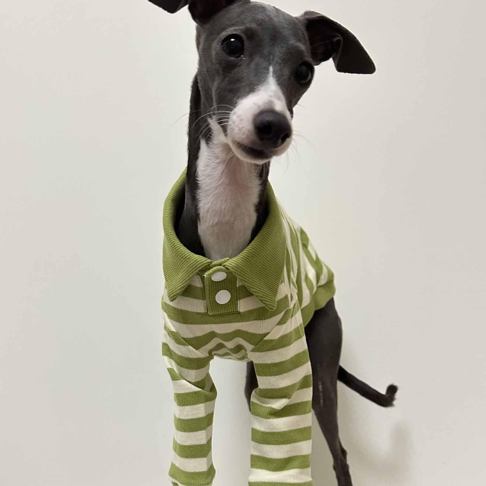 Camisa para Perro con Cuello a Rayas para Perro, Camisetas para Galgo, Linda Sudadera para Perrito, Ropa Suave y Transpirable para Cachorros, Ropa para Perros pequeños y medianos