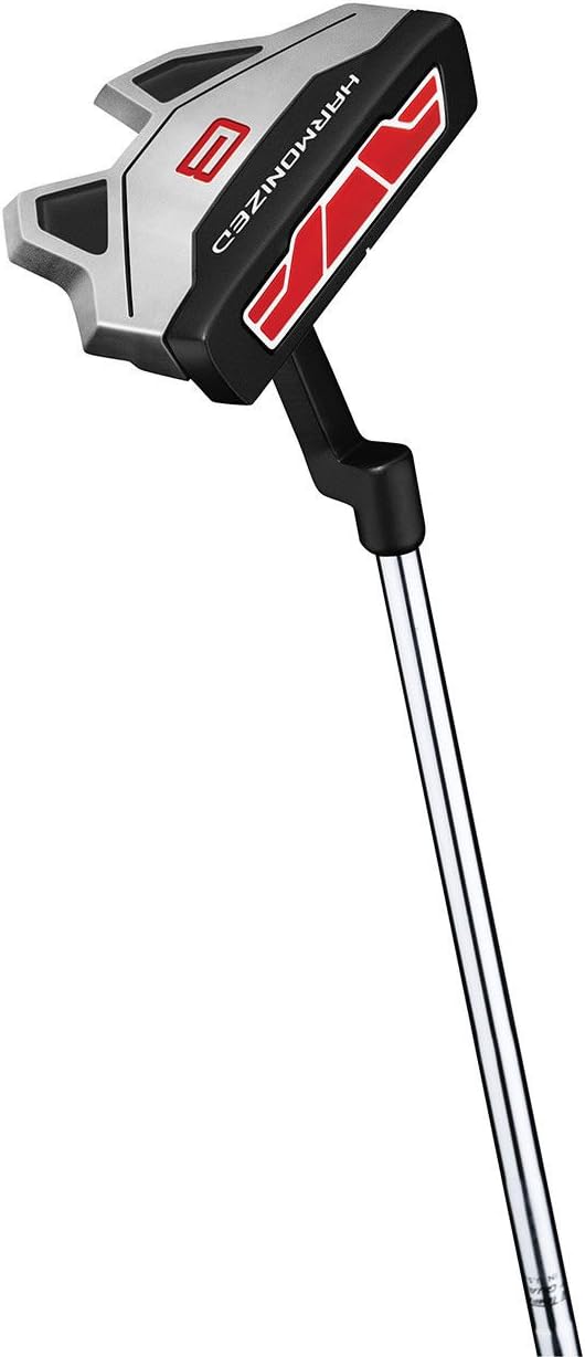 mazze da golf cobra set per uomini