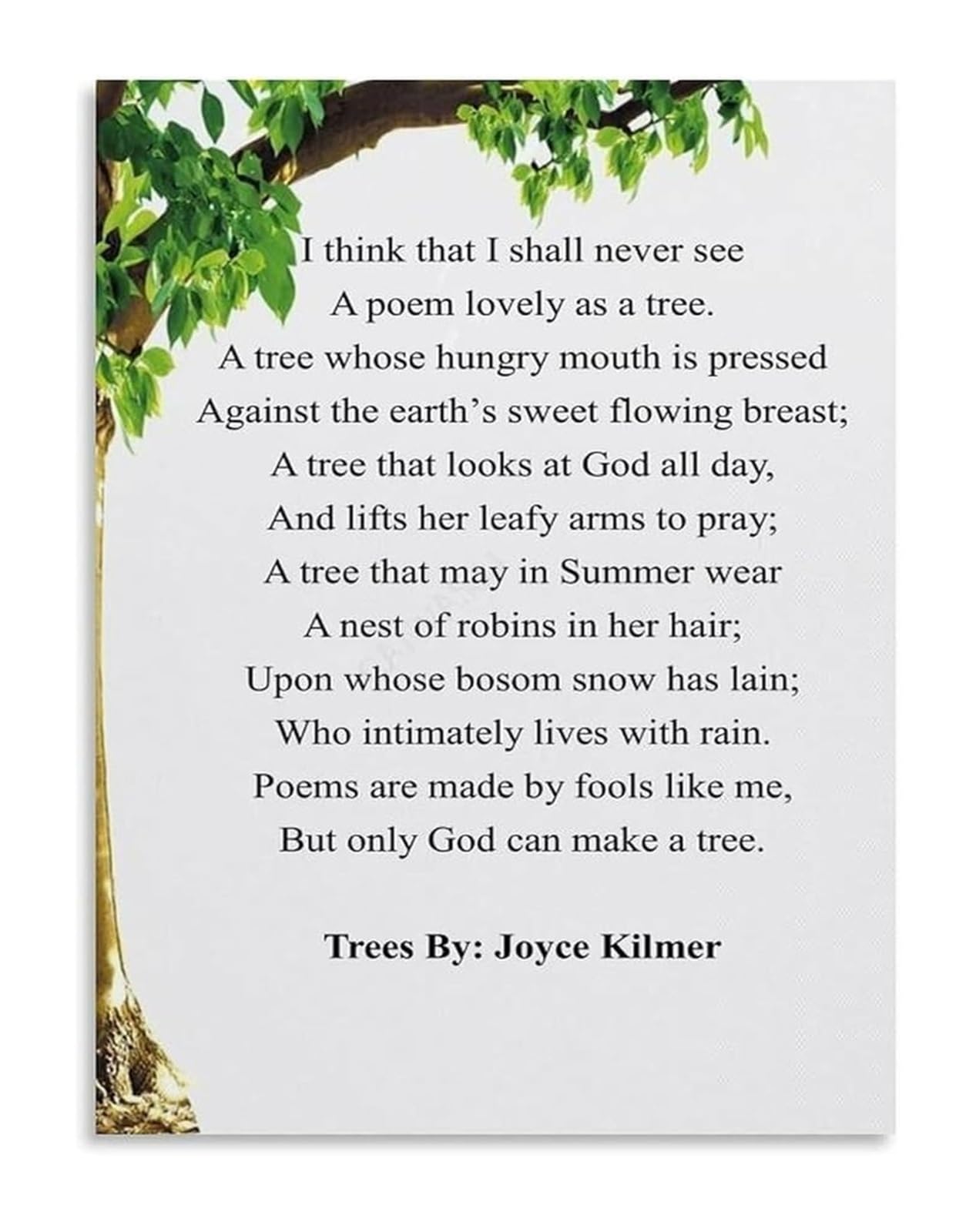 EKFBQBGW Wonder Woods Poem Canvas Print Whimsical Wall-Art for Boys Girls Bedroom and Imaginative Play Space Framed,08x12inch(20x30cm)