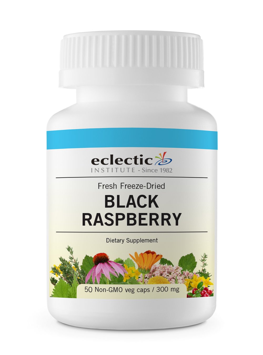 Eclectic InstituteBlack Raspberry Fdv, Blue, 50 Count