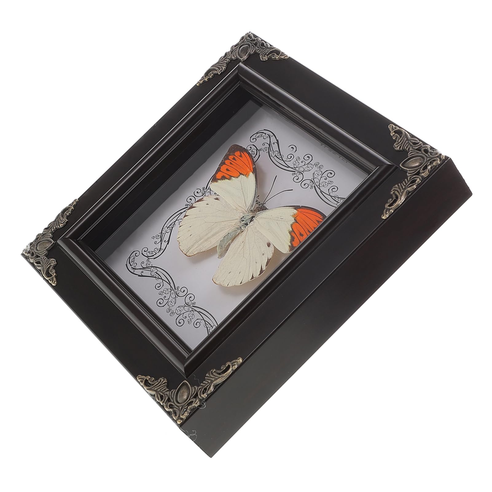 TOYANDONA Butterfly Specimen Frame Butterfly Shadow Box Real Butterfly Specimen Frame Butterfly Specimen Photo Prop Specimen Frame Butterfly Specimen
