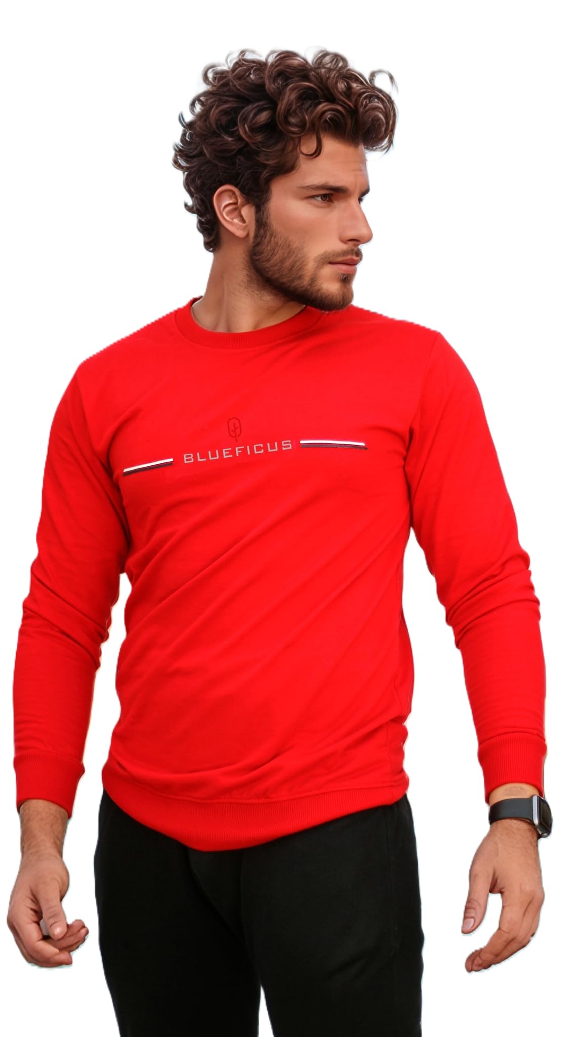 Men's Regular Fit Cotton Blend Loop Knit pre Winter Sweatshirt Round Neck-image-25