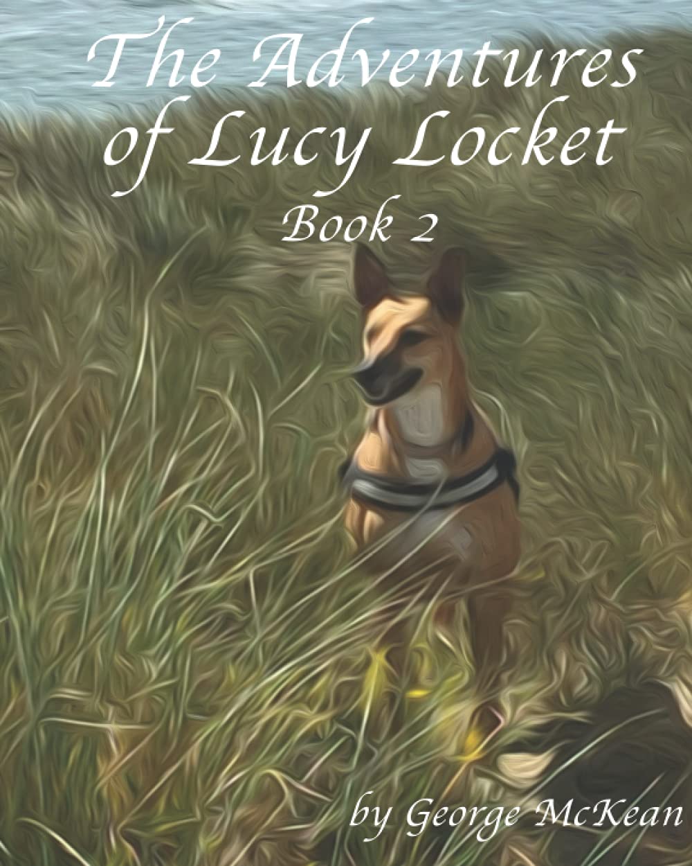 George  Edward McKeanThe Adventures of Lucy Locket Part 2: Storytelling book for children age 3-7
