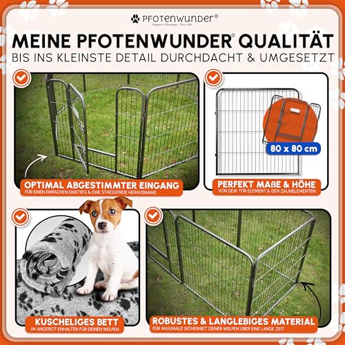 PFOTENWUNDER® Welpenauslauf 8/12-teilig, 80cm hoch, 2x2m + 1 Hundebett, 1 Trainingsbuch | Welpenlaufstall, Hunde-Laufstall faltbar für die Wohnung + Tür, Welpengehege Tierlaufstall Indoor Outdoor