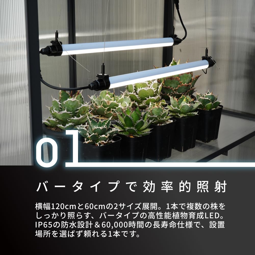 Amazon.co.jp: 【BARREL公式】植物育成ライト【GROW LINE】バー型 色