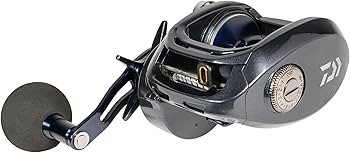 Amazon | ダイワ(DAIWA) LX-HD500HL-P レクサ500 Type-Hd ベイト