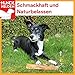 BREERs Getrocknete Rinderhufe für Hunde 25 Stück aus eigener Deutscher Herstellung, Kauartikel für Groß & Klein