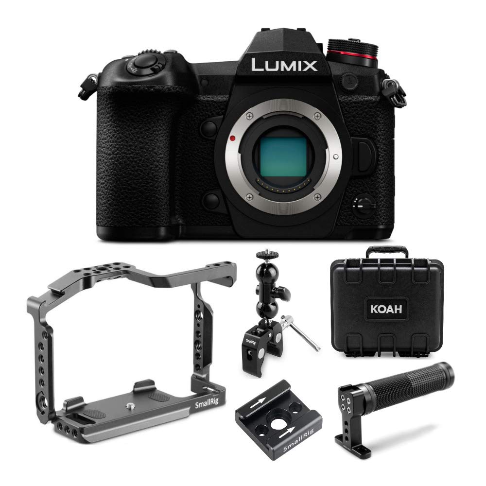 Panasonic Lumix DC-G9 Mirrorless Camera (Black) with SmallRig Cage, Top Handle, Mount Bracket, CoolClamp Mount with 1/4-Inch Screw Ball Head and Weatherproof Hard Case Bundle (6 Items)