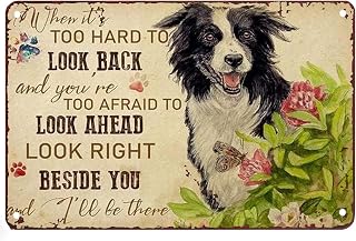Border Collie When It's Too Hard to Look Back Vintage Tin Sign Metal Sign Man Cave Bar Wall Art Halloween 12x8 inch