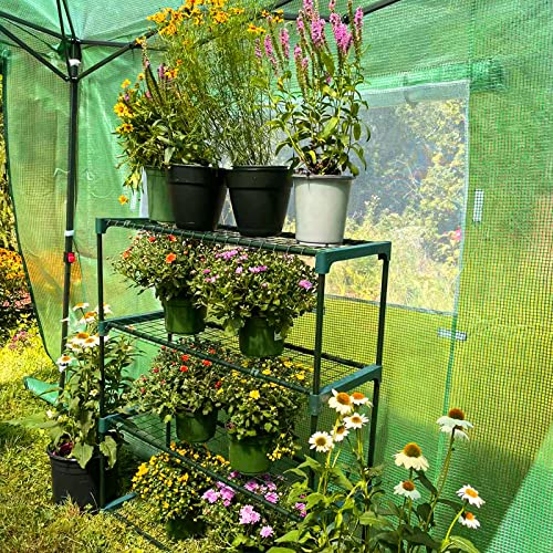 Image of EAGLE PEAK 8'x6' Portable Greenhouse with Two Shelves