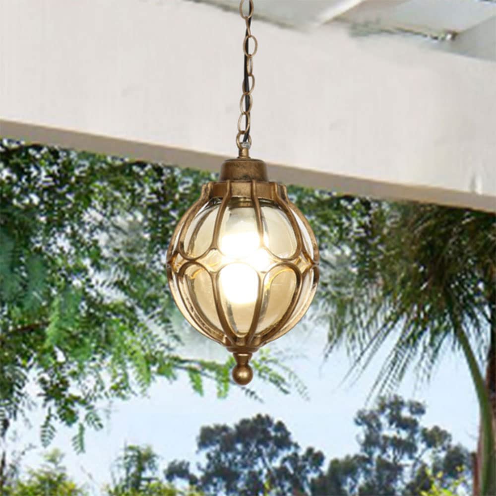 WEYIMVTO Outdoor Pendant Lights, Black Metal with Clear Glass Globe in Aluminum Cage Frame