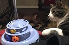 Review Image by Andie Andie