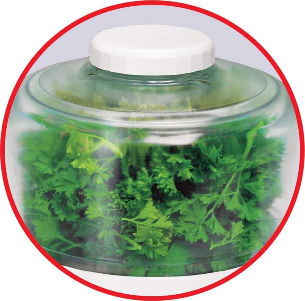 61E VJqoCNL. AC SL1014