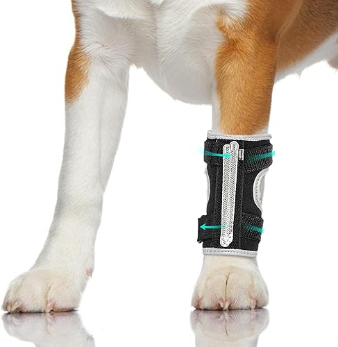 Soporte de pierna delantera para perro férula ajustable para tobillo, pierna delantera, tobillo, extremidad de poro, envoltura de esguince con