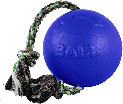 Miniatura 6 de Jolly Pets Romp-n-Roll - Juguete para perro, 8 pulgadas, Rojo Rojo -,Púrpura,Azul,Azul (Arándano),Púrpura claro,Naranja