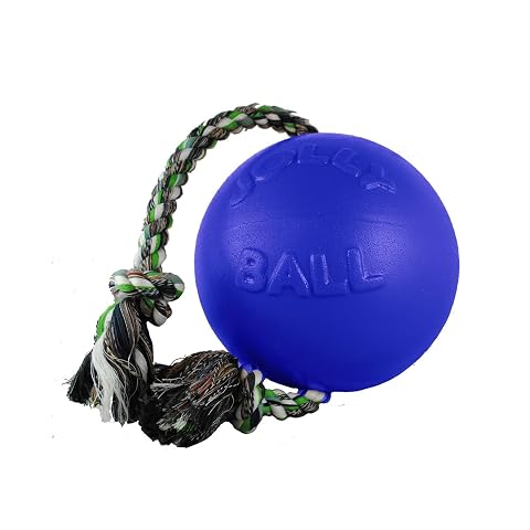 Jolly Pets Romp-n-Roll Rope and Ball Dog Toy 4 5 Inches Small Blue 645 BL for Small Breeds