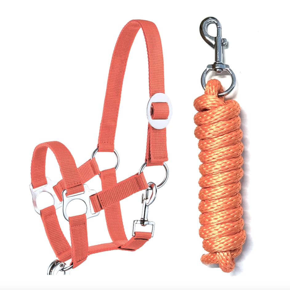 JA4001 Licol avec mousqueton réglable pour cheval en bois (mousqueton orange, mini shetty)
