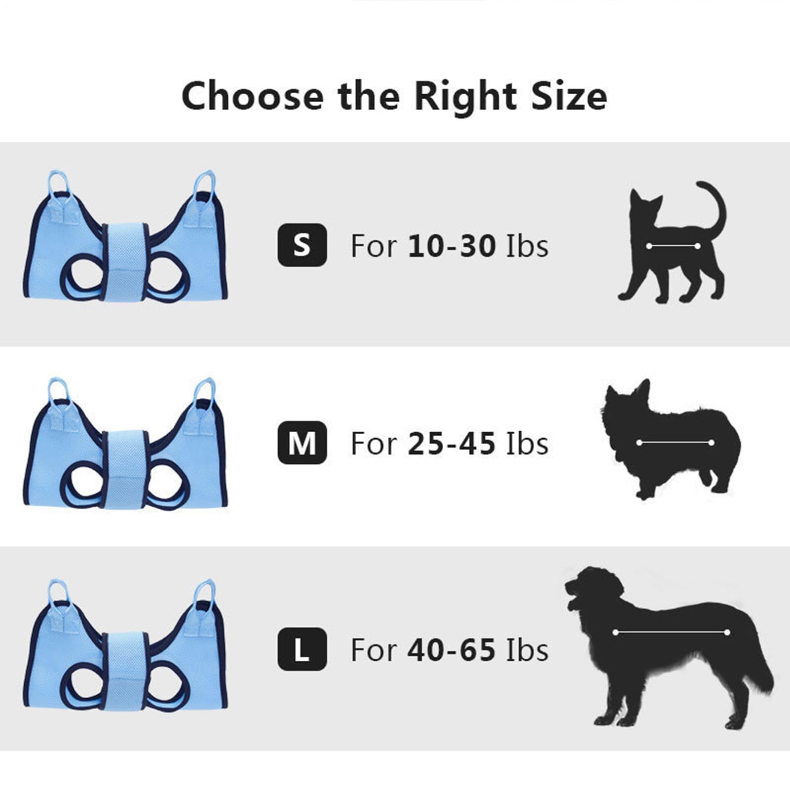 View 6