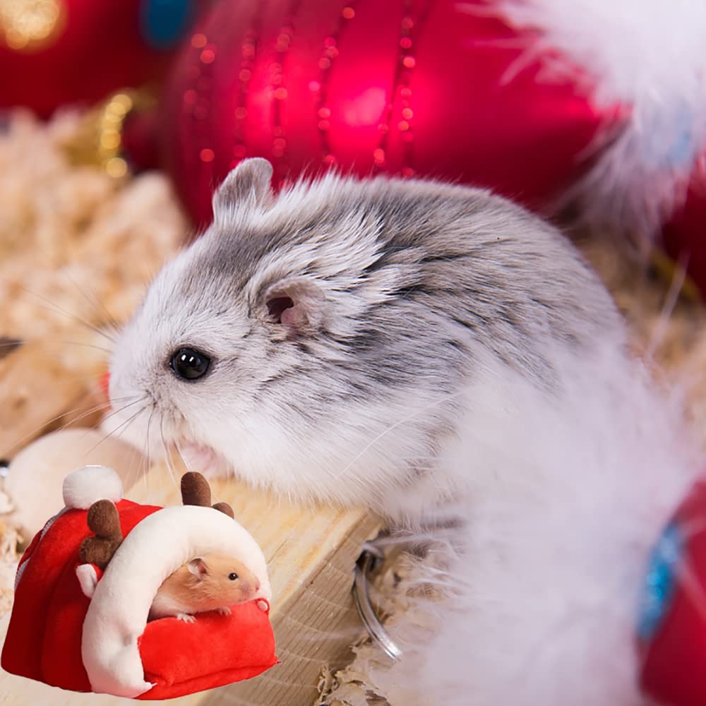 Cuccia Morbida Per Criceti E Piccoli Animali - Lettino Invernale In Peluche 10x10 Cm - Foto 2