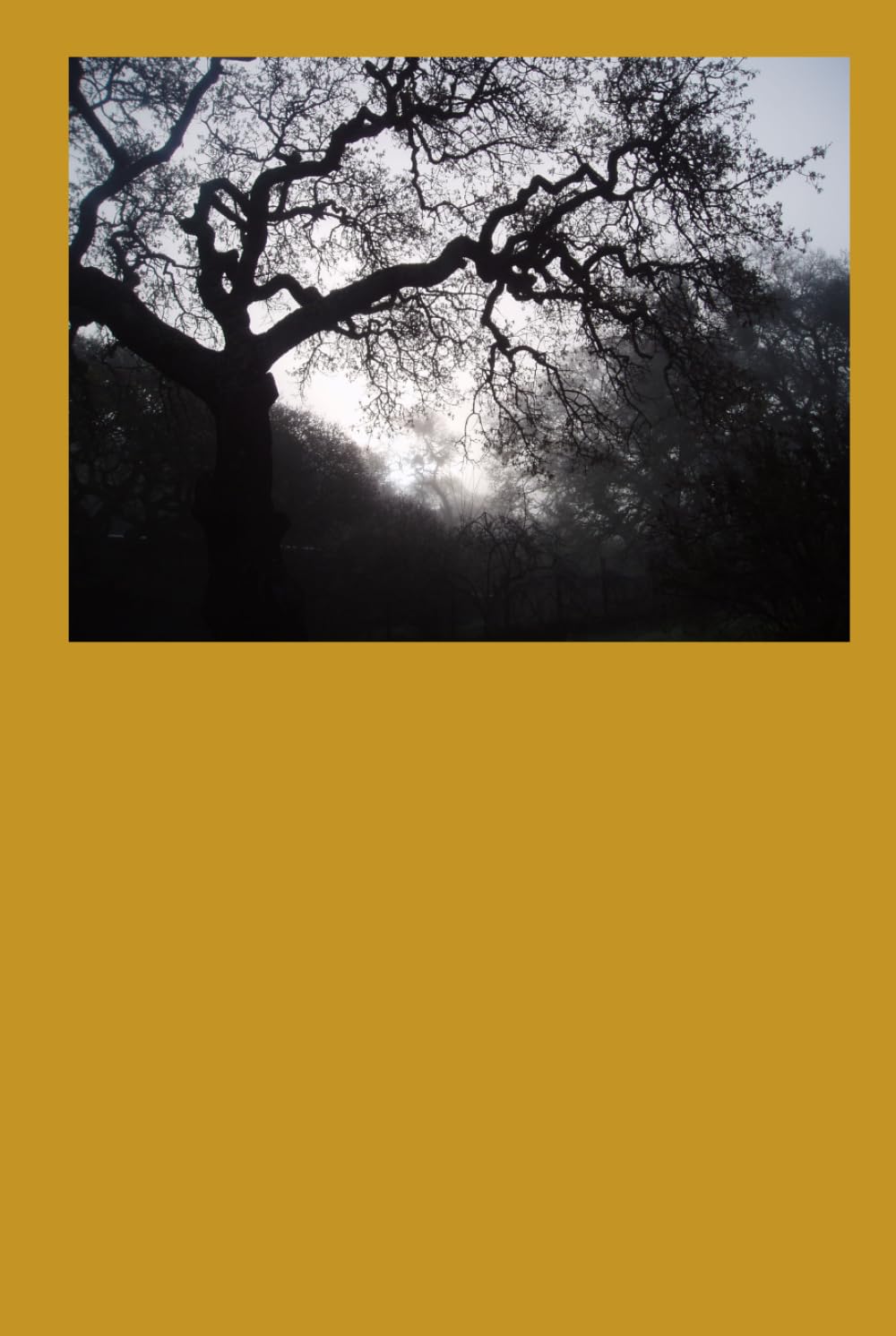 The Serpent's Legacy (Midnights forest Universe)