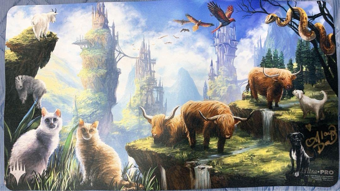 実物提示教育 プレイマット サイン入り MTG MTGプレイマット 実物提示教育 Show and Tell MTG30限定版
