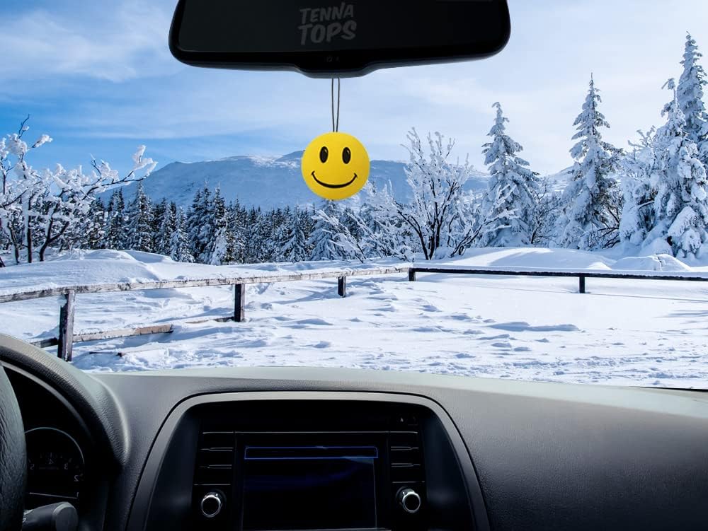 HappyBalls Happy Smiley Face Car Antenna Balls/Mirror Danglers/Auto Dashboard Buddies (Assorted Colors) (Pack of 6) (Fits Fat Stubby Antenna)