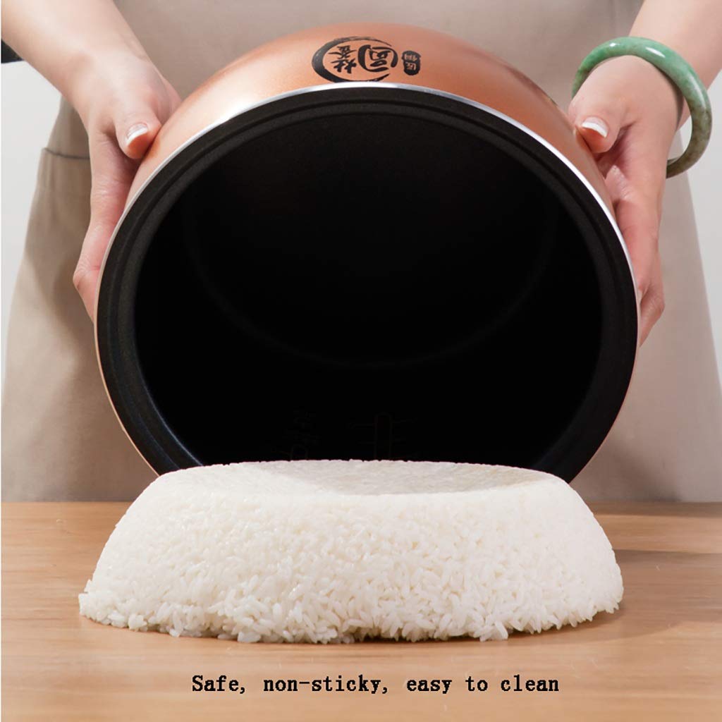 Cuiseur à Riz, Rendez-Vous 24 Heures sur 24, cuiseur à Riz Multifonction Intelligent Domestique 4L-760W, avec cuiseur Vapeur, pour 2-4 Personnes